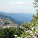  Serzh Van Der Maaremaan,  -  2  2009   