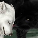 � � ����� �������� �� ����� ��������� ������ �� ������� �������