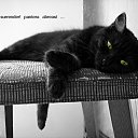 ���� ������, ������, 47 ��� - ��������� 7 ������ 2012 � ������ ���� ����������