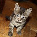 � ��� ��� ��� ������ �������. ������. ��������... �� ������� �����������ۻ