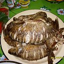 ���� �������, �����, 51 ��� - ��������� 24 ������ 2012 � ������ ���������2011 ���� �����