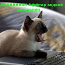 ���� �����, ������ �����, 50 ��� - ��������� 31 ������ 2010 � ������ �����������!�