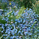 ���� ���@����@, �������, 49 ��� - ��������� 19 ��� 2010 � ������ �����������