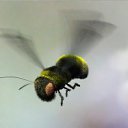 ���� 777, �������, 48 ��� - ��������� 16 ������ 2012 � ������ �������