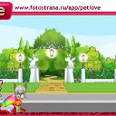  , , 41  -  28  2010   PetLove