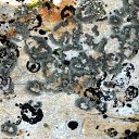 ���� Svann, ���������, 71 ��� - ��������� 11 ���� 2013 � ������ ���������� �� �������