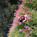 ���� �����, ��������, 54 ���� - ��������� 11 ������� 2012 � ������ ���� ����������