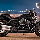 ���� ����, ���������, 49 ��� - ��������� 20 ������� 2012 � ������ ���� ����������