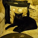 ���� ������, ���� - ��������� 14 ������� 2011 � ������ ���� ����������