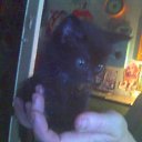 ��� ����� ���� ������� ��������� ���� � ���... �� ������� ����������