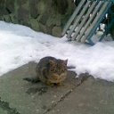 ���� ��������, �����, 52 ���� - ��������� 3 ��� 2011