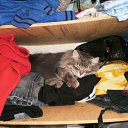 ���� Byaka, ���������, 41 ��� - ��������� 13 ������ 2010 � ������ ���� ������ ����� ������!!!�