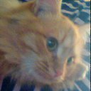 ���� ����, ���������, 22 ���� - ��������� 25 ������� 2012 � ������ ���� ����������