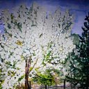 ���� ������, ���, 43 ���� - ��������� 21 ������ 2011 � ������ ���� ����������