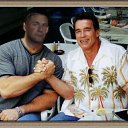  , -, 62  -  31  2012     .