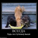  Nataly, , 52  -  18  2010   Funny Cats