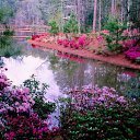 ���� �������, ������, 51 ��� - ��������� 27 ������� 2012