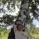 ���� ���, �����������, 66 ��� - ��������� 28 ������ 2013 � ������ ������ ��������