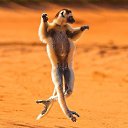 ���� �������, �������������, 64 ���� - ��������� 13 ������ 2012 � ������ ��������