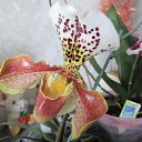 ���� ������, �������, 49 ��� - ��������� 28 ������ 2012