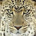 ���� �������, ������, 63 ���� - ��������� 9 ������� 2011 � ������ ���� ����������