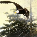 ���� ����� - ���������� ��������!!!, �����������, 56 ��� - ��������� 14 ������� 2009 � ������ ���������� �������Ż