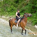 ���� �����, �����������, 44 ���� - ��������� 24 ���� 2012 � ������ ���� ����������