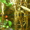 ���� ��������, ���������, 22 ���� - ��������� 31 ������� 2012 � ������ �����������,�����!�