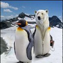 ���� ����� - ���������� ��������!!!, �����������, 56 ��� - ��������� 4 ������� 2009 � ������ �������ϻ