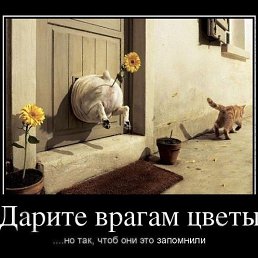 ���� ������ ��������, �����-���������, 45 ��� - ��������� 26 ������� 2012