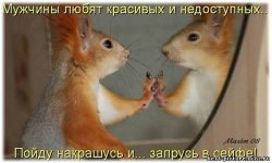 ���� �������, �����-���������, 71 ��� - ��������� 17 ����� 2012