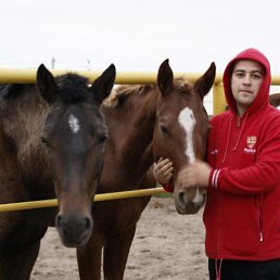 ���, ������, 39 ���