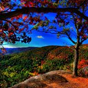 ���� Alehandro, ����������, 53 ���� - ��������� 9 ������ 2012 � ������ �����