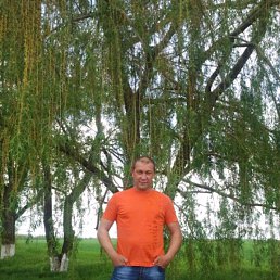 �����, ���������, 45 ���