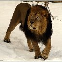 ���� ������, �������, 29 ��� - ��������� 24 ������� 2010 � ������ ���� ����