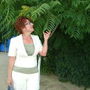 ���� �������, �����������, 57 ��� - ��������� 8 ���� 2013 � ������ ���� ����������