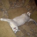 ���� �������, �������, 48 ��� - ��������� 28 ���� 2010 � ������ ���� ��� ��ʻ