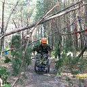 ���� ������, �����, 43 ���� - ��������� 22 ������ 2012 � ������ ���� ����������