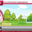  Miss, , 36  -  2  2010   PetLove