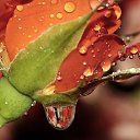 ���� �����, ������, 26 ��� - ��������� 11 �������� 2010 � ������ �����