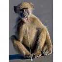 ���� ����� - ���������� ��������!!!, �����������, 56 ��� - ��������� 14 ���� 2010 � ������ �� ����� �������� � ... �� ������