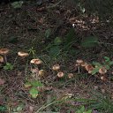 ���� ������, �����, 59 ��� - ��������� 17 ���� 2012 � ������ �������� �����