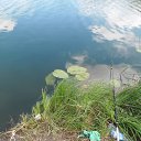 ���� �������, ����, 37 ��� - ��������� 10 ���� 2013 � ������ ���� ����������