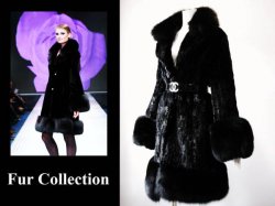 ���� Furs Collection, ��������, 50 ��� - ��������� 18 �������� 2011