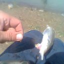 ���� ���������, ����, 57 ��� - ��������� 16 ������� 2012 � ������ �������