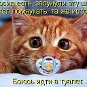���� �����(������� �������� � Ѹ��������), �������-���������, 46 ��� - ��������� 25 ������ 2012 � ������ ���� ����������