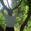 ���� �������, ���, 43 ���� - ��������� 24 ���� 2012