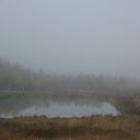  Andrei, , 46  -  28  2010     