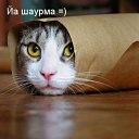 ���� ������, ������, 48 ��� - ��������� 14 ������ 2010 � ������ �������� ��������