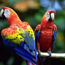 ���� �����, ��������, 56 ��� - ��������� 11 ��� 2013 � ������ ���� ����������